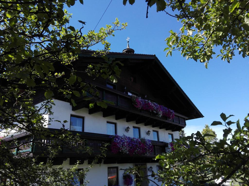 Schusterbauer Villa Koppl Exterior photo